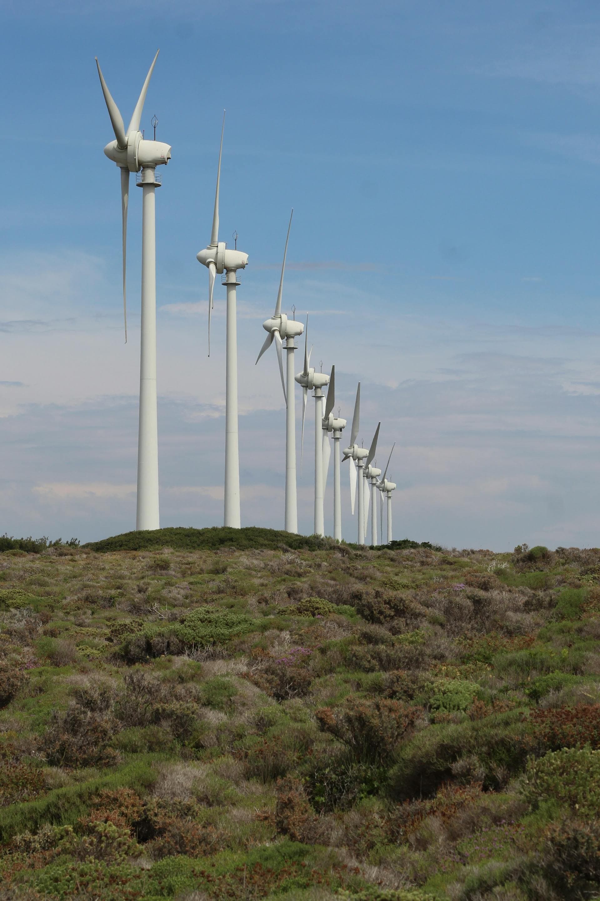 Wind Turbine